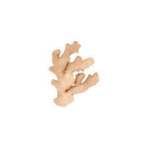 Sainsbury's Root Ginger Loose