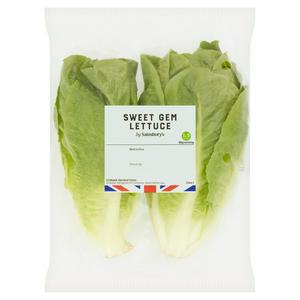 Sainsbury's Sweet Gem Lettuce x2