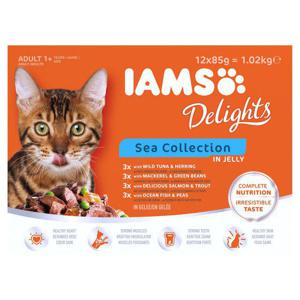 Iams Delight Sea Collection in Jelly