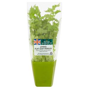 Morrisons Living Flat Leaf Parsley