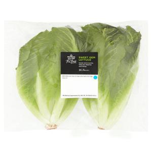 Morrisons The Best Sweet Gem Lettuce