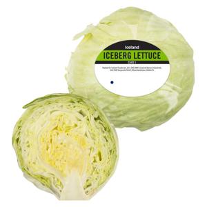 Iceland Iceberg Lettuce