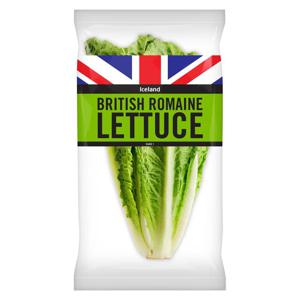 Iceland British Romaine Lettuce