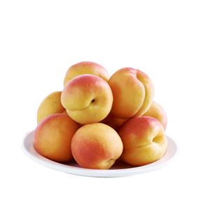 Iceland Apricots