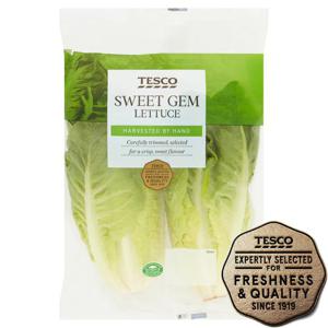 Tesco Sweet Gem Lettuce