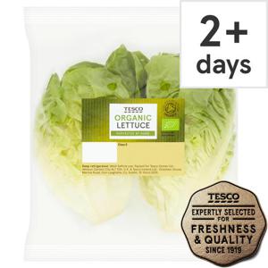 Tesco Organic Lettuce Each