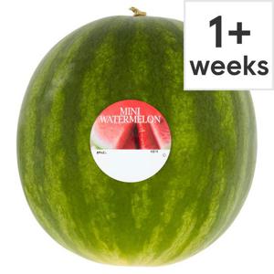 Tesco Mini Watermelon Each