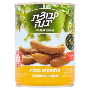 Kvuzat Yavne 7-9 Cucumbers In Brine