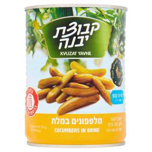 Kvuzat Yavne 13-17 Cucumbers In Brine