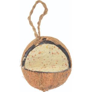 National Trust CJ Wildlife Whole Coconut for Wild Birds