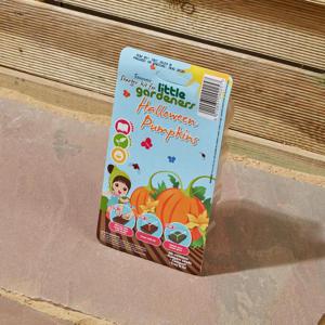 Johnsons Starter Kit For Little Gardeners Halloween Pumpkins