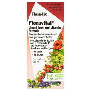 Floradix Floravital Gluten Free Liquid Iron