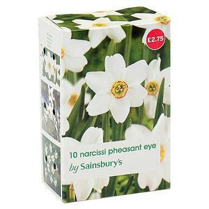 Sainsbury's Narcissi Pheasant Eye Bulbs x10