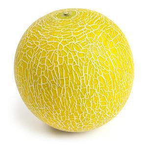 Sainsbury's Galia Melon