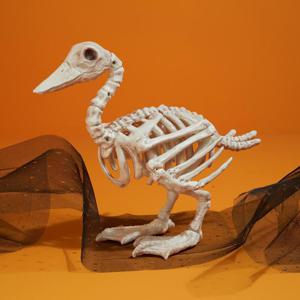 Morrisons Skeleton Duck