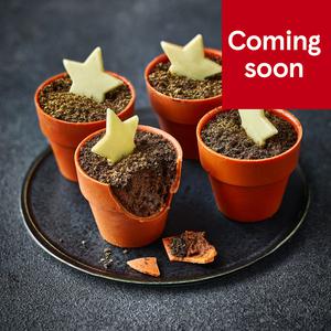 Tesco Finest Four Chocolate & Orange Christmas Plant Pots Serves 4