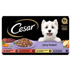 Cesar Juicy Hotpot Adult Wet Dog Food Trays Mixed in Gravy