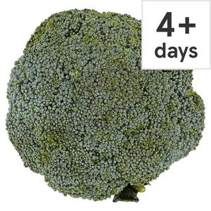 Tesco Large Broccoli Pack 500G