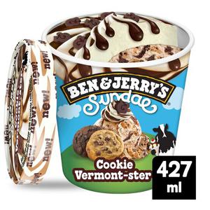 Ben & Jerry's Sundae Cookie Vermonster 427Ml