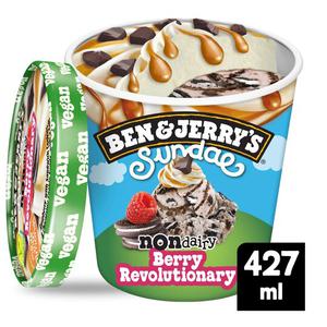 Ben & Jerry's Sundae Berry Revolutionary Non Dairy 427Ml