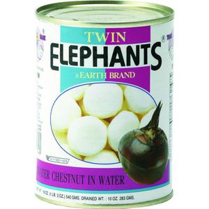 Twin Elephant Earth Water Chestnuts 540 GR