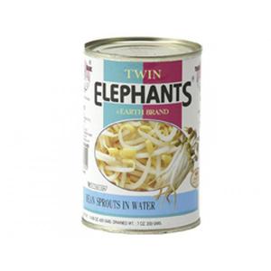 Twin Elephant Earth Bean Sprouts 420 GR