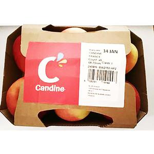 Morrisons Candine Apples