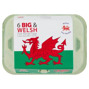 The Welsh Pantry The Welsh Egg Company Free Range Eggs Big & Welsh