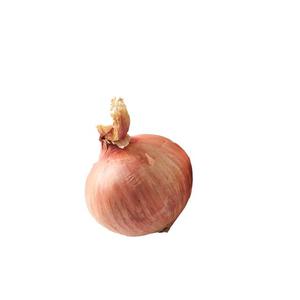 Schofferhofer Morrisons Market St Cannonball Onion