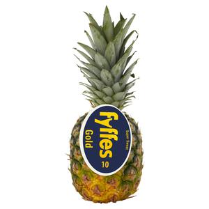 Iceland Fyffes Medium Gold Pineapple