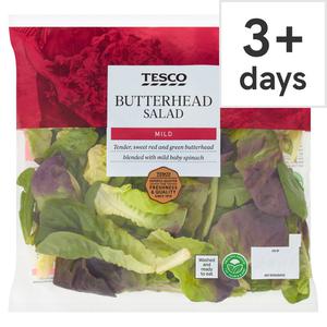 Tesco Butterhead Salad 80G