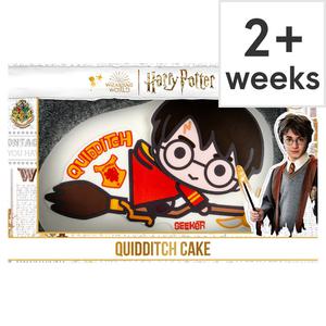 Harry Potter Quidditch Cake