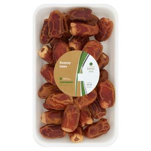 Madina Suquey Dates