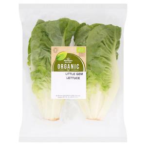 Morrisons Organic Lettuce