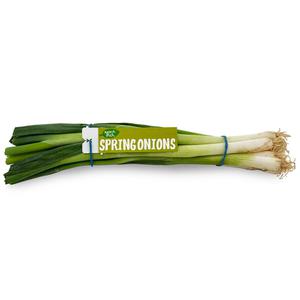 Natures Pick Spring Onions 100g