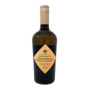 Castellore Organico Organic Italian Pinot Grigio 75cl