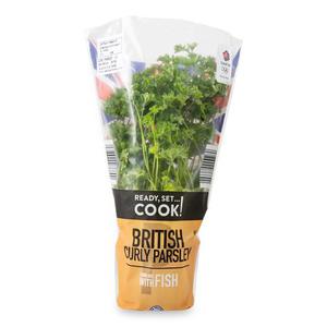 Natures Pick Potted Curly Leaf Parsley Each