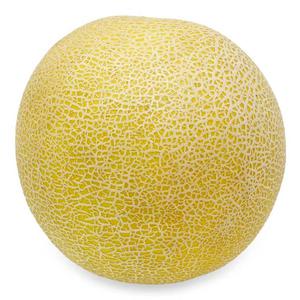 Natures Pick Galia Melon Each