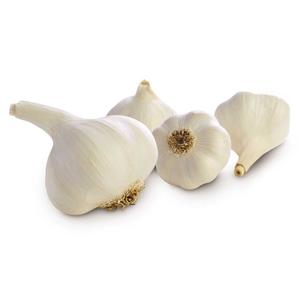 Natures Pick Large Garlic Each