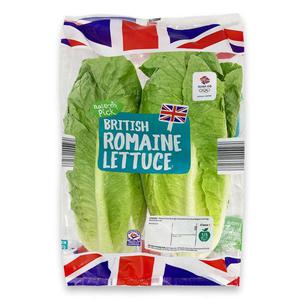 Natures Pick Romaine Lettuce 2 Pack