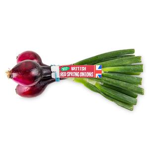 Natures Pick Red Spring Onions 120g