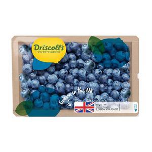 Driscoll's Blueberry