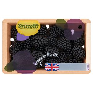 Driscoll's Blackberry