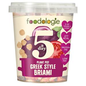 Foodologie 5 A Day Greek Style Briami 400G