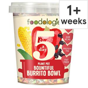 Foodologie 5 A Day Burrito Bowl Plant Pot 400G