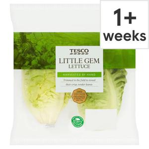 Tesco Little Gem Lettuce 2 Pack