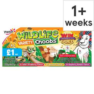 Wildlife Choobs Strawberry Raspberry & Apricot Yogurt 6X37g