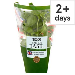 Tesco Medium Pot Basil