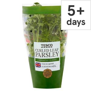 Tesco Medium Pot Curled Parsley