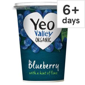 Yeo Valley Blueberry Yogurt 450G